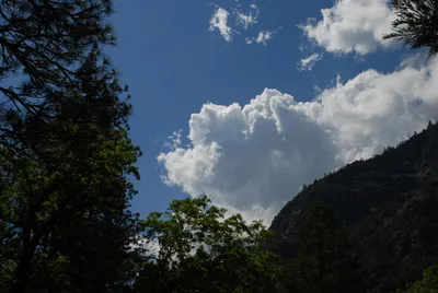 DSC_0090 (Large).JPG